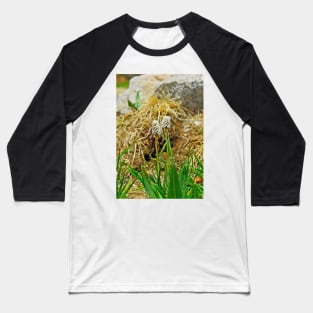 Glacial Wildflowers Baseball T-Shirt